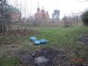 Рождественский парк